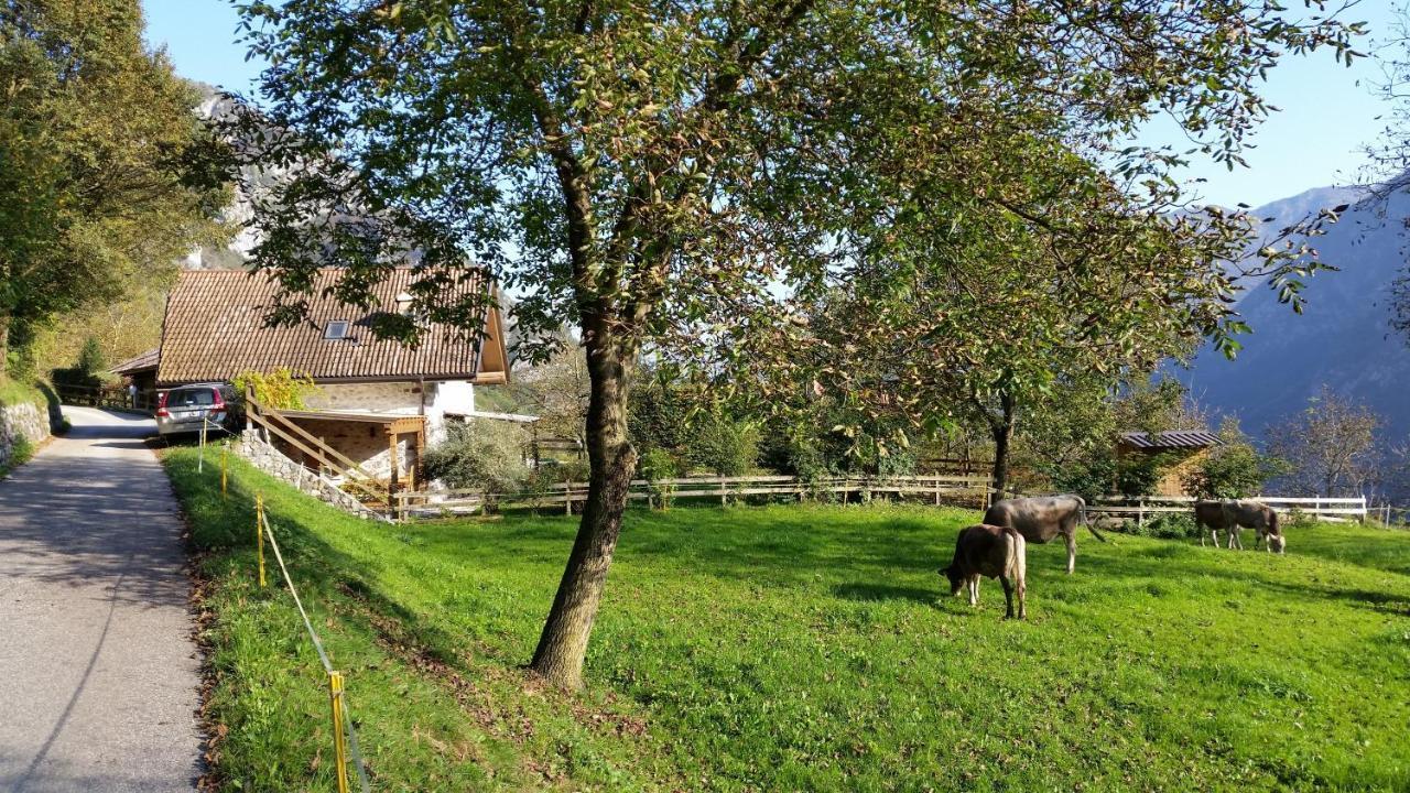 Chalet La Nos Molina di Ledro Camera foto